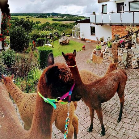 Ferienwohnung Alpaka Blick Schneppenbach Bagian luar foto