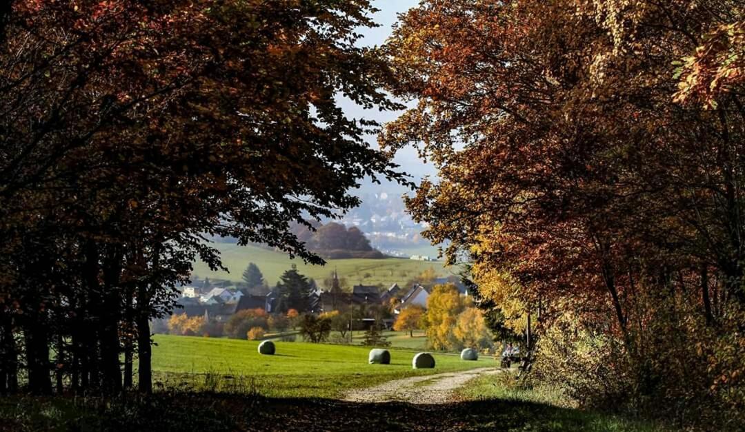 Ferienwohnung Alpaka Blick Schneppenbach Bagian luar foto